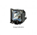 lampe-de-rechange-panasonic-et-lad60aw-pour-dx800-pt-d5000-pt-d6000-pt-dw530-pt-dw6300-pt-dw730-pt-dx500-pt-dx610-pt-dz570-pt-dz6700-pt-dz6710-double-pack