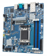 A1981